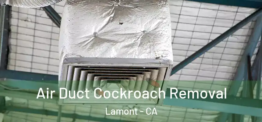 Air Duct Cockroach Removal Lamont - CA