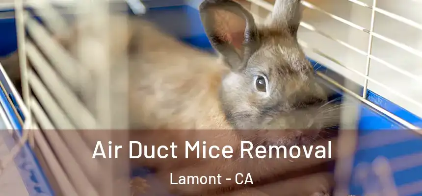  Air Duct Mice Removal Lamont - CA