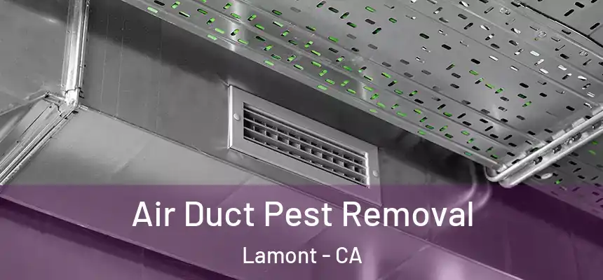  Air Duct Pest Removal Lamont - CA