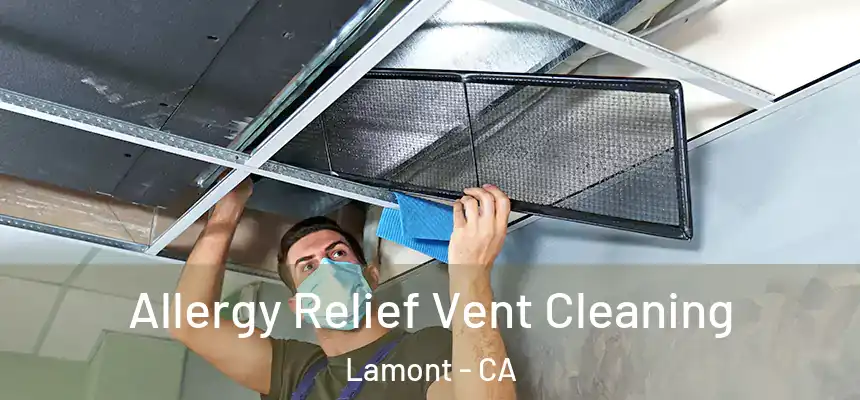 Allergy Relief Vent Cleaning Lamont - CA