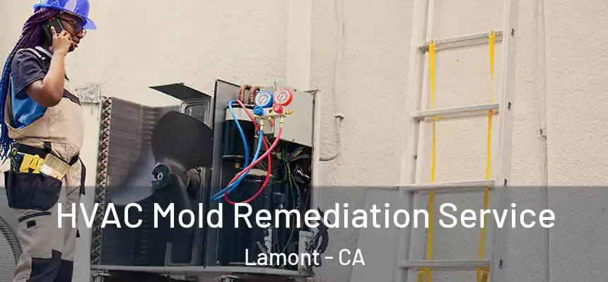 HVAC Mold Remediation Service Lamont - CA