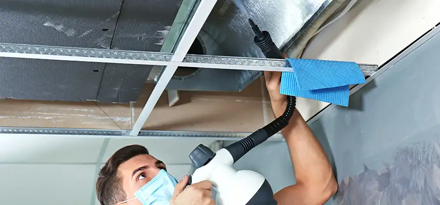 Our Air Duct Rodent Removal Services in Lamont, CA