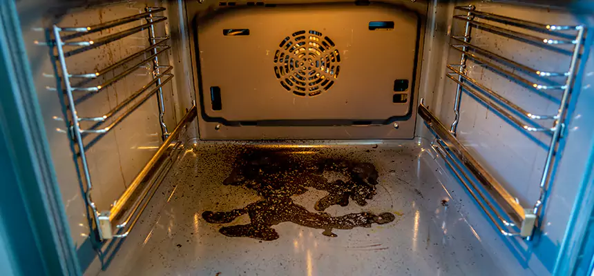 Our Dryer Vent Mold Cleaning Services in Lamont, CA