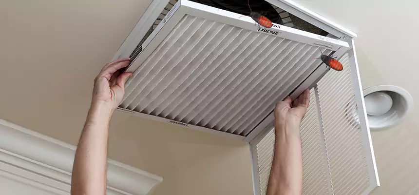 Our Insect Removal from Air Ducts Services in Lamont, CA