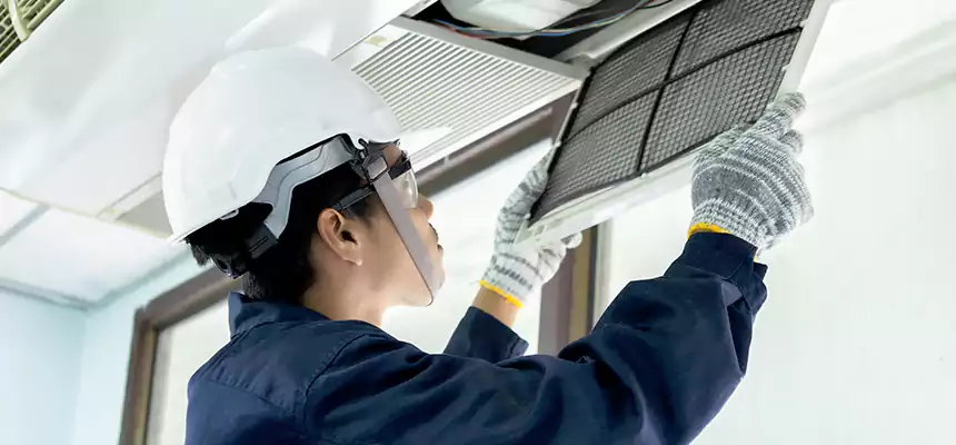 Our Mold & Mildew Removal from Air Ducts Services in Lamont, CA