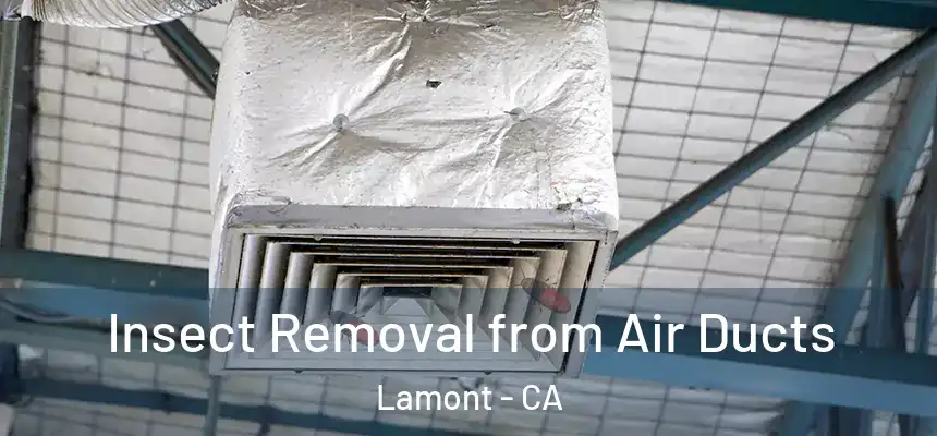  Insect Removal from Air Ducts Lamont - CA