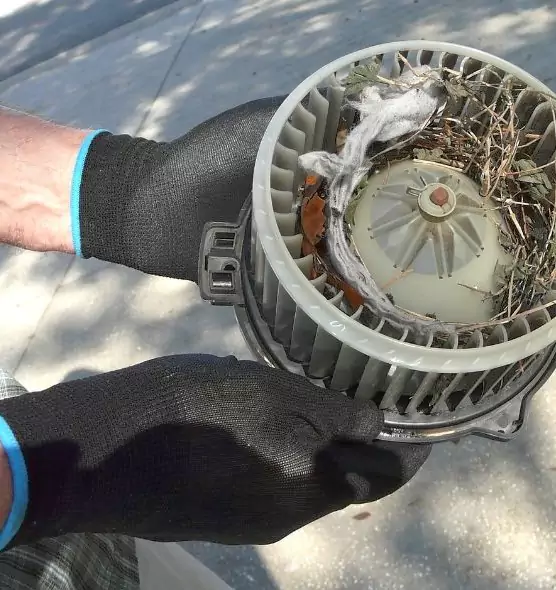 About Air Duct Mice Removal in Lamont, CA