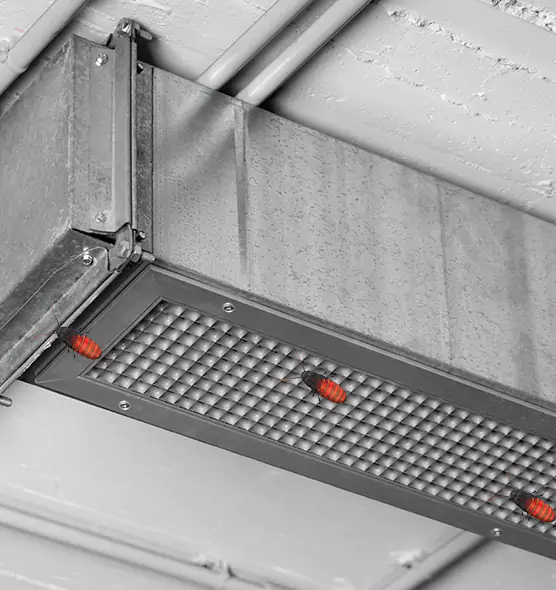 Affordable Insect Removal from Air Ducts in Lamont, CA