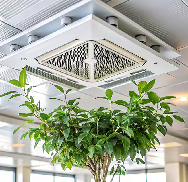 Why Homeowners & Businesses Trust Us in Lamont, CA?